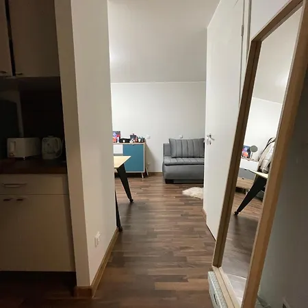 Cozy On Veerenni St, Garden Views. Apartment