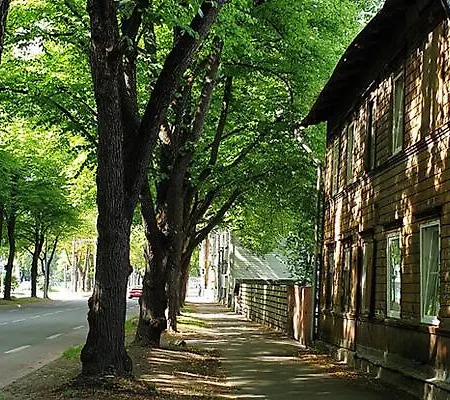 Cozy On Veerenni St, Garden Views. Apartment Tallinn