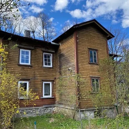 Cozy On Veerenni St, Garden Views. Lägenhet *