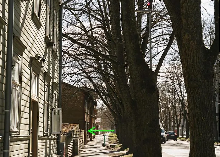 Cozy On Veerenni St, Garden Views. Appartement *