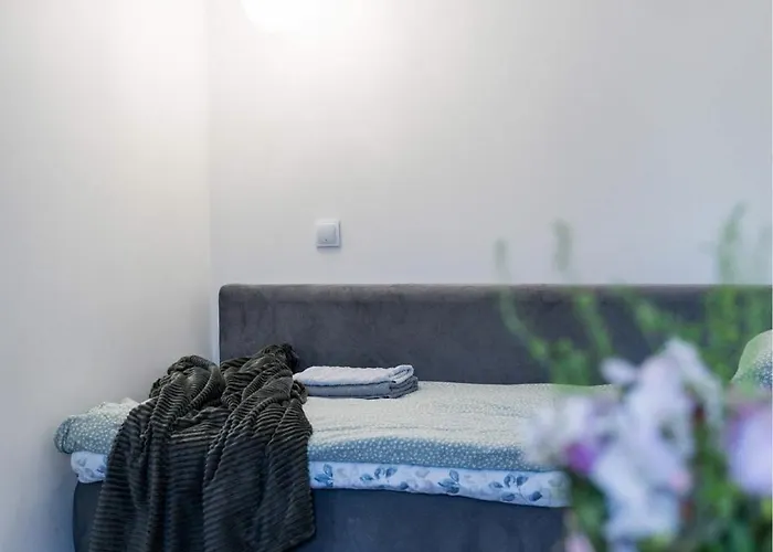 Cozy On Veerenni St, Garden Views. Appartement